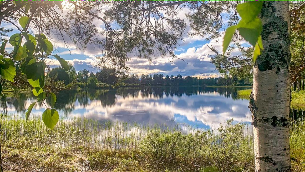 Trollforsen Camping & Cottages Gargnäs エクステリア 写真
